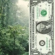 Copenhague : des forêts vert dollar