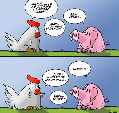 Grippe_aviaire_porcine Grippe_aviaire_porcine