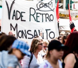 monsanto_c