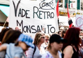 monsanto_c