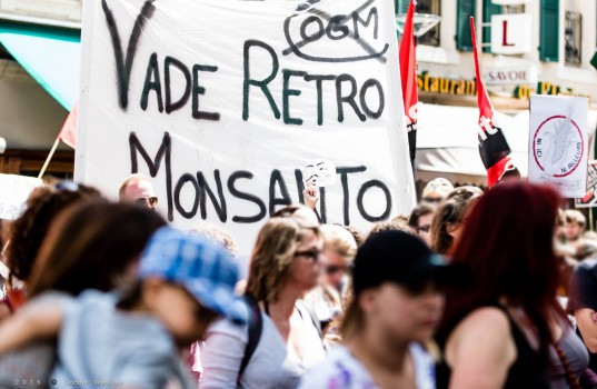 monsanto_c