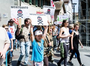 monsanto_d